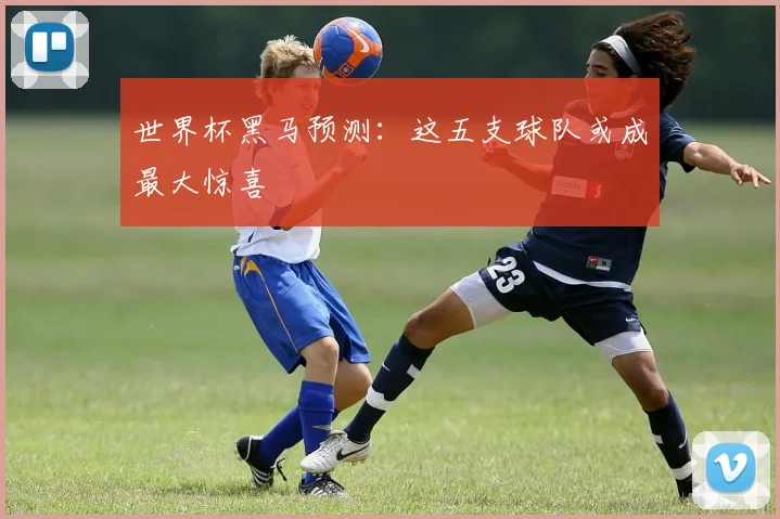 世界杯黑马预测:这五支球队或成最大惊喜